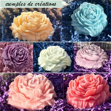Moule En Silicone Coquille Pour Plâtre Parfumé Et Bougies - Flexible, Réutilisable, Création Artisanale DIY