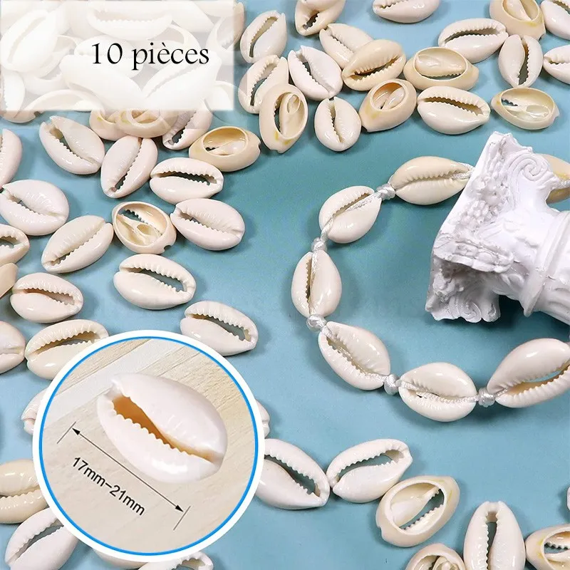 Assortiment De Petits Coquillages Marins Naturels Du Japon - Artisanat, Occasion